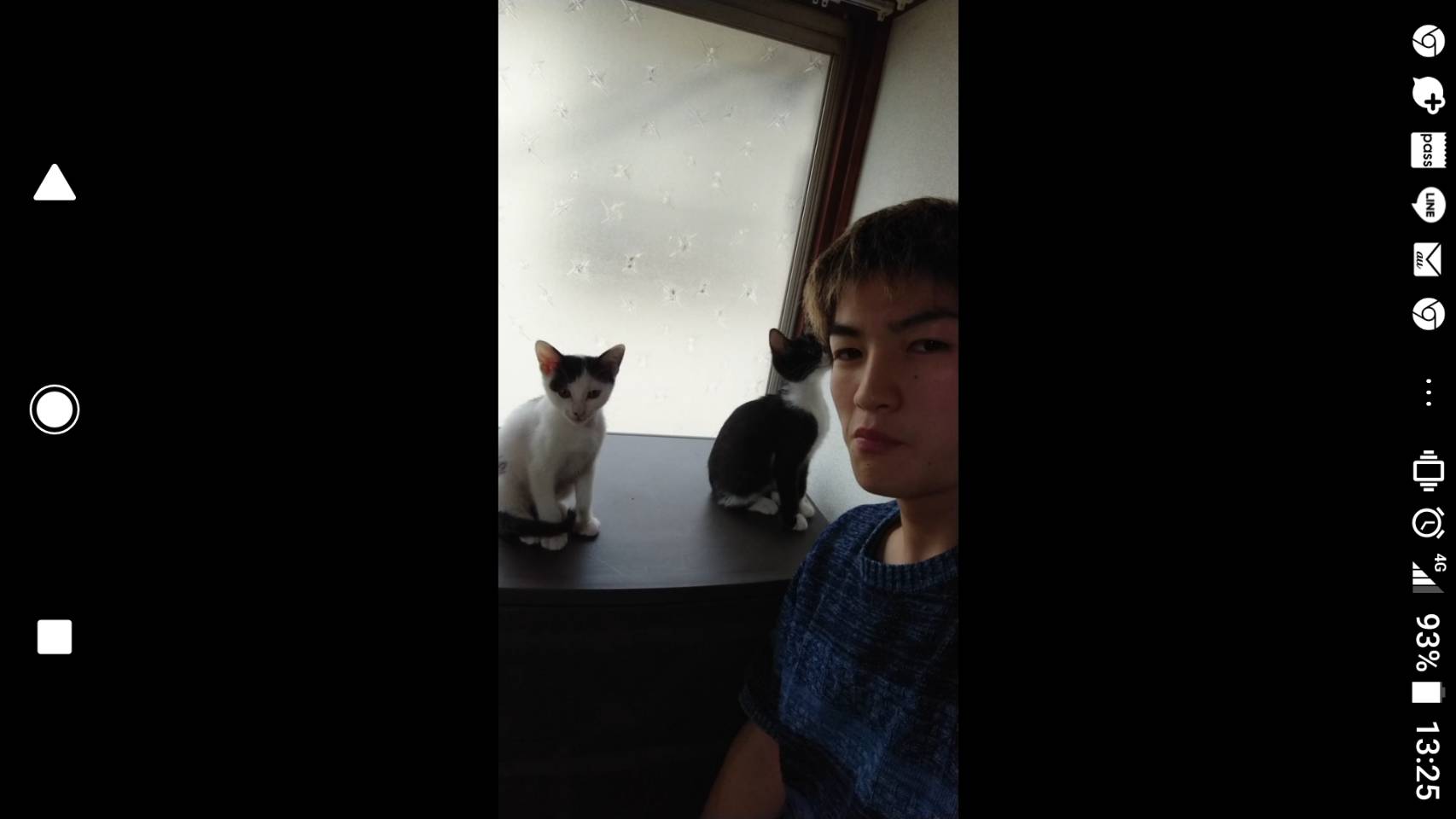 松田トレーナー猫を飼う